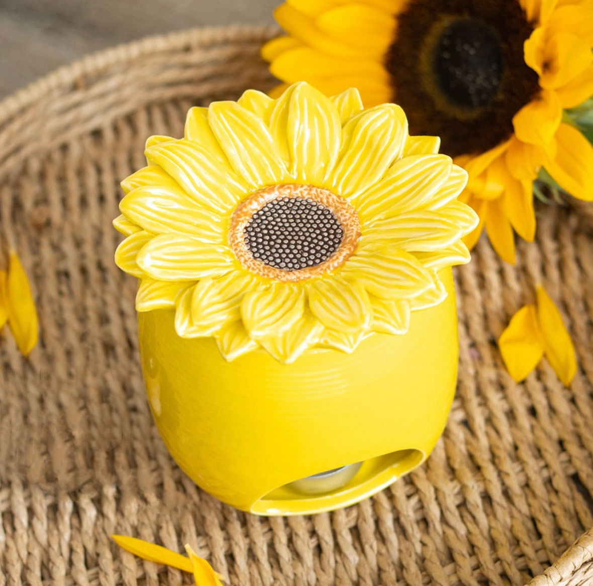 Sunflower oil & wax melt burner 