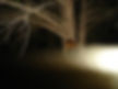 CemeteryoftheDamned-C2