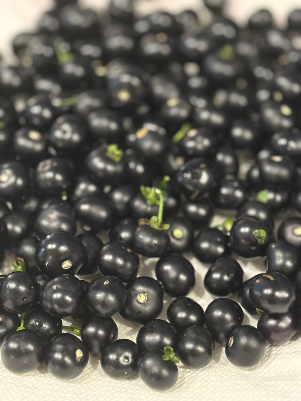 Huckleberries