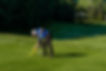 CTP_6519.jpg