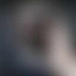 MP das Apostas Esportivas é aprovada