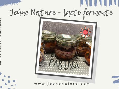 Atelier de Lacto fermenté