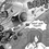 Thumbnail: Blood Maid Volume 1
