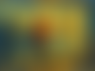 Freedom of Expression Between Ideals, Reality, and the Boundaries of Illusion