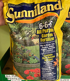 PHOTO-2025-11-08-16-10-53 3.jpg