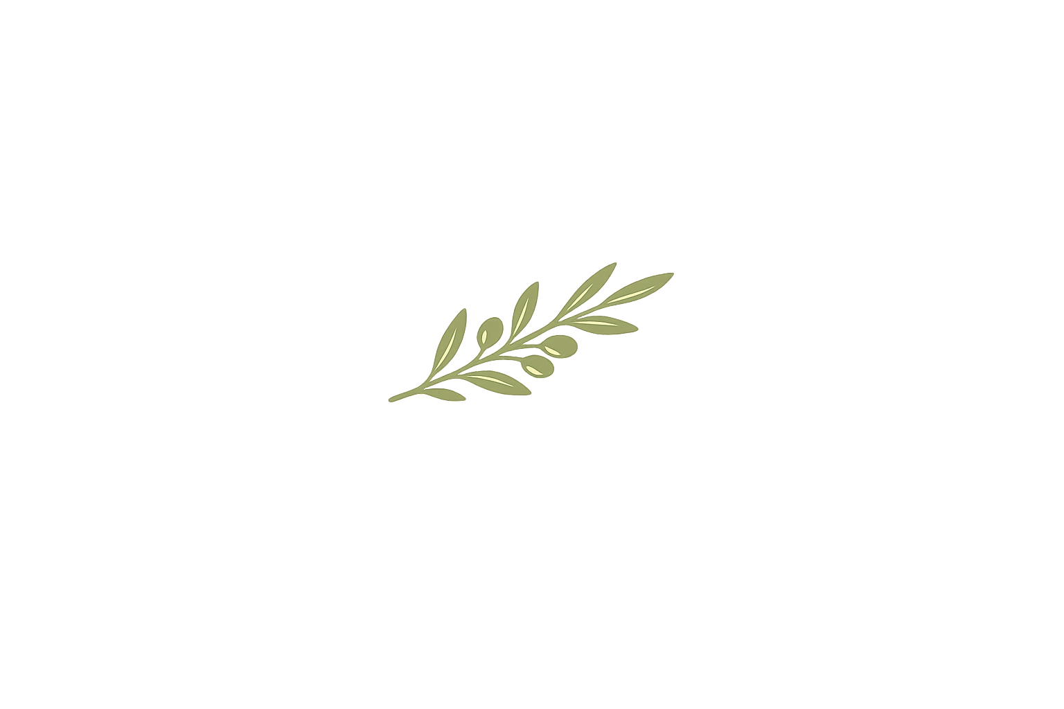 Olive branch illustration