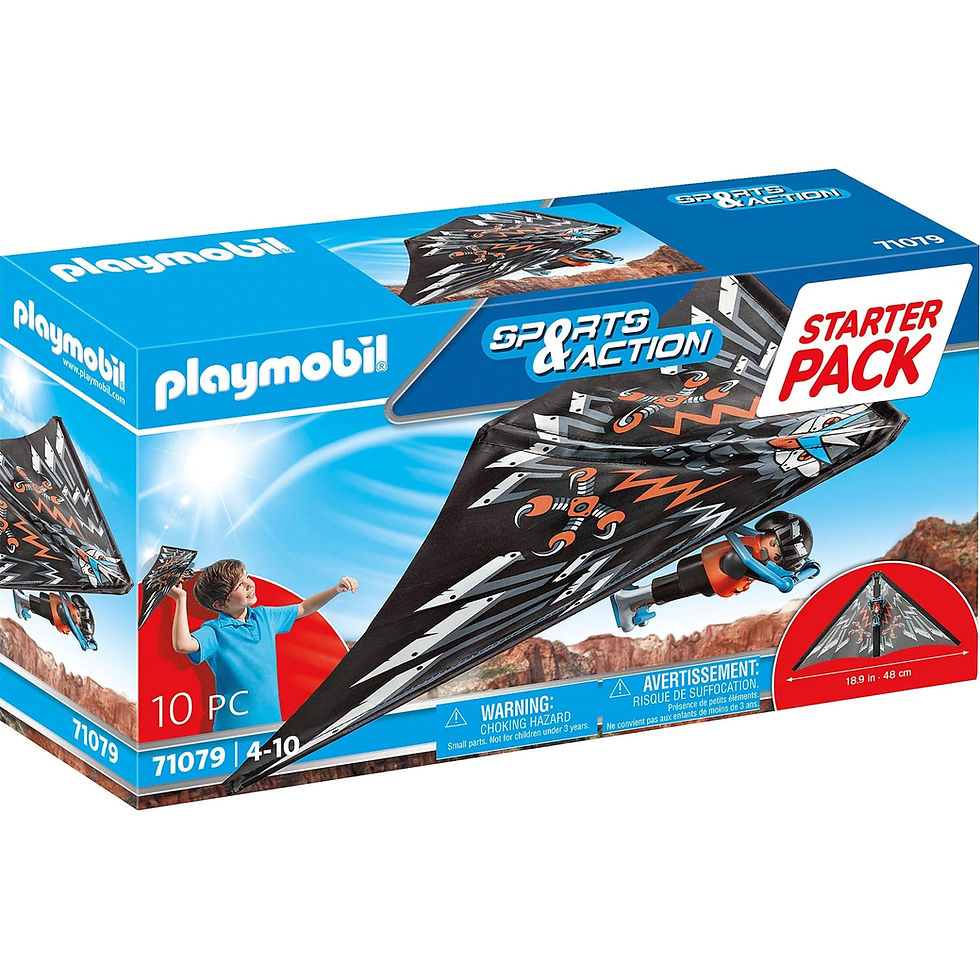 PLAYMOBIL 71079 Sports & Action Starter Pack Drachenflieger, Konstruktionsspiel