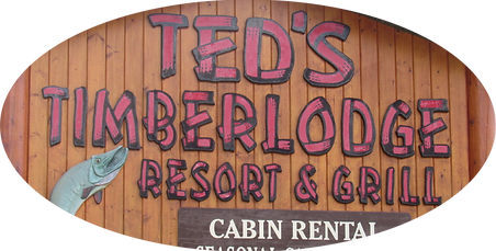 TEDS LOGO.png