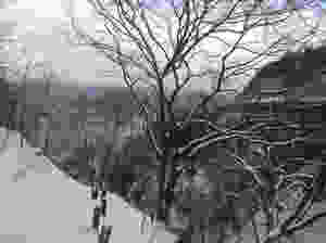 image.jpeg