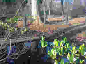 image2.jpeg