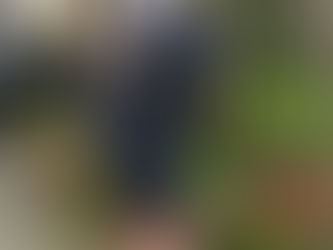 小さい相棒(4)