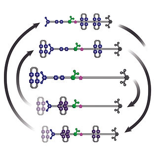 Pumps through the Ages.