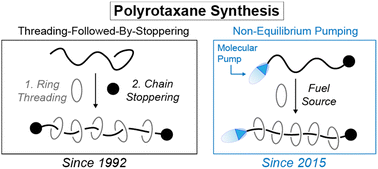 Polyrotaxanes and the Pump Paradigm. 