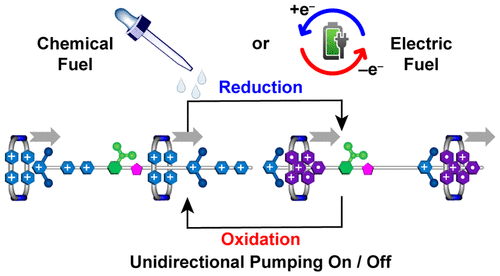 A Molecular Dual Pump. 