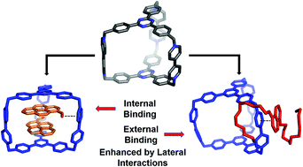 Guest Recognition Enhanced by Lateral Interactions. 