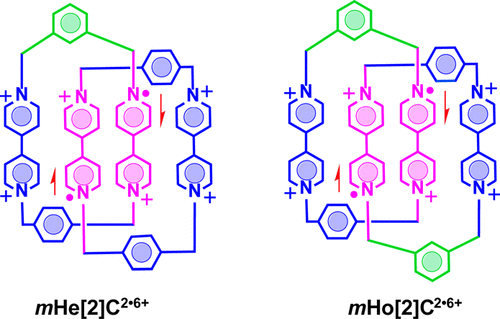 Highly Stable Organic Bisradicals Protected by Mechanical Bonds. 