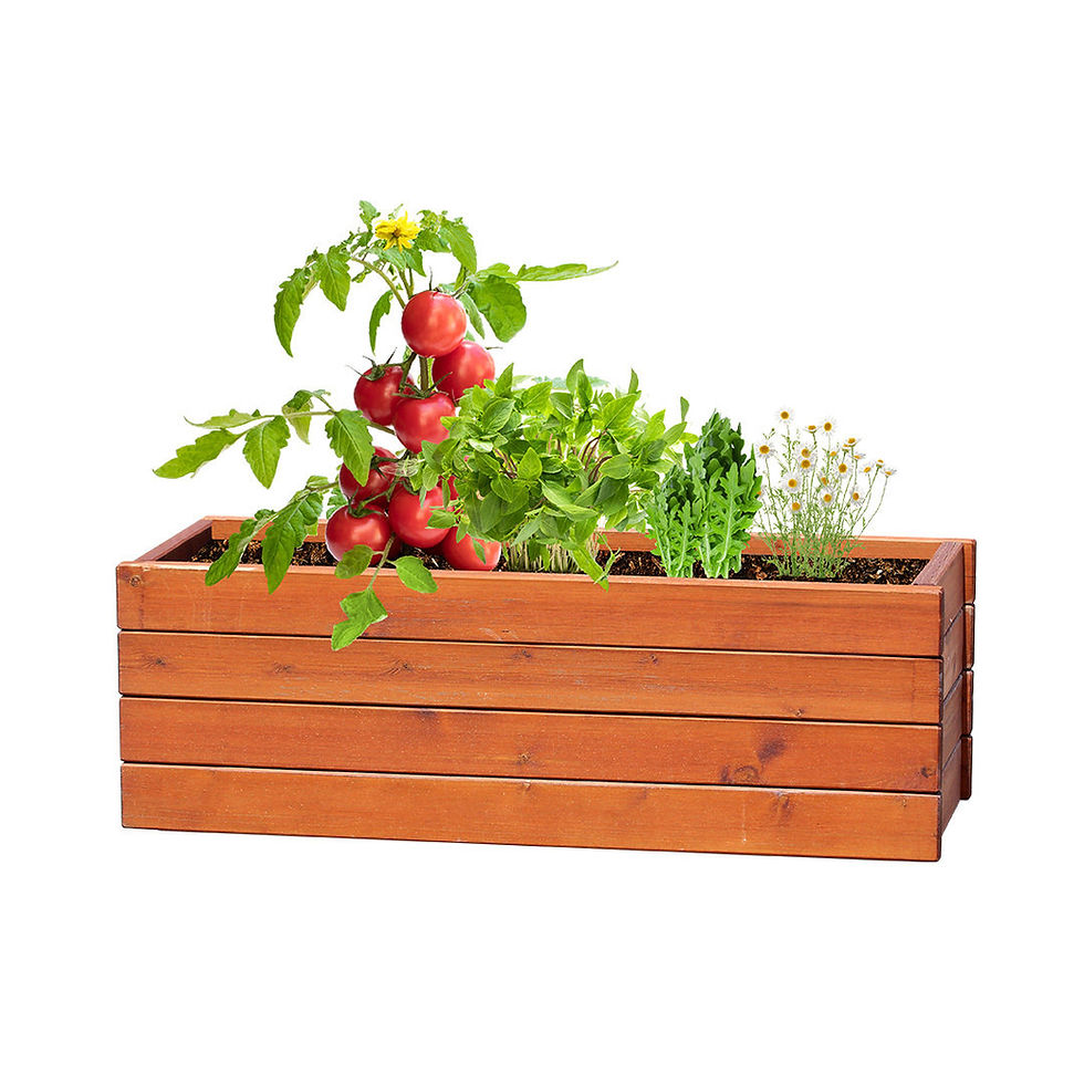 Thumbnail: Garden Kit