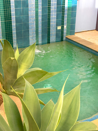 Plunge Pool