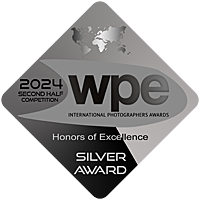 Médaille d'argent WPE 2024