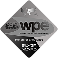 Médaille d'argent WPE 2021