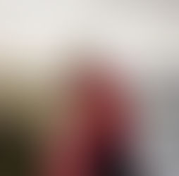 Séance photo vacances Guadeloupe : des souvenirs vivants, naturels, intemporels