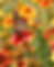 Spring into Wellness: Acupuncture for Seasonal Allergy Relief