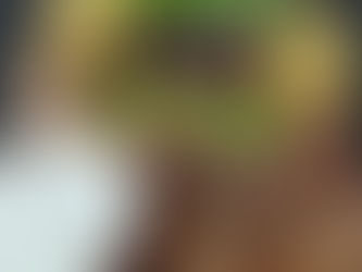 Φιλέτο μπούτι κοτόπουλο με κρούστα από φαγόπυρο και κινόα