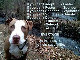 Help | pawswi