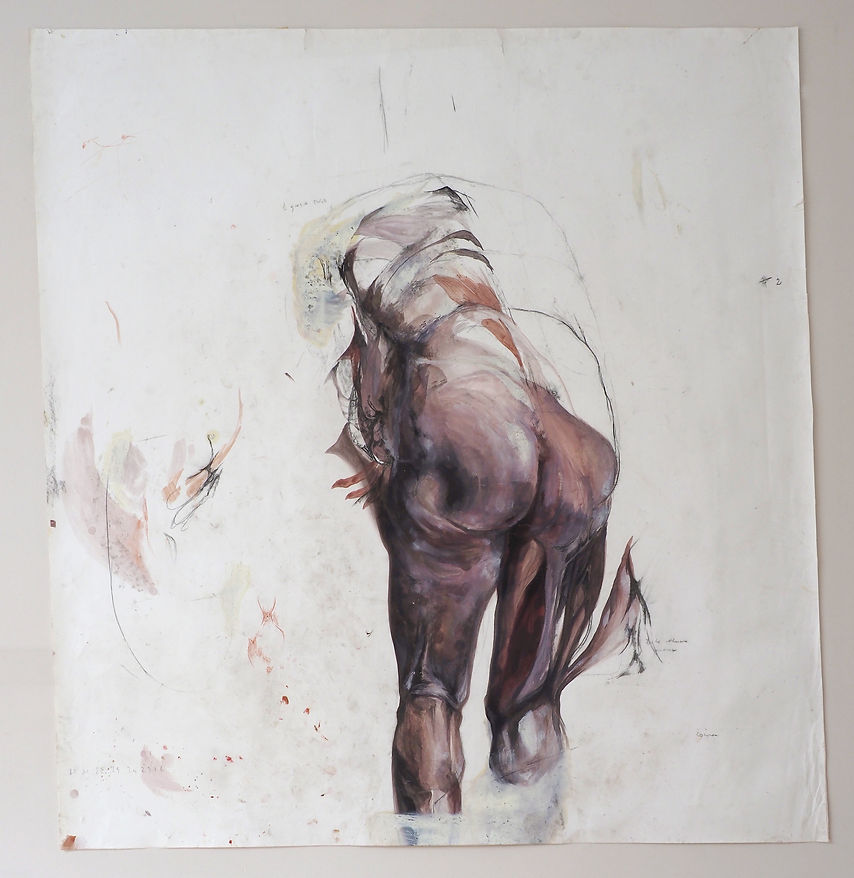 anatomie du dessin lea falguere corps ouvrir les figures