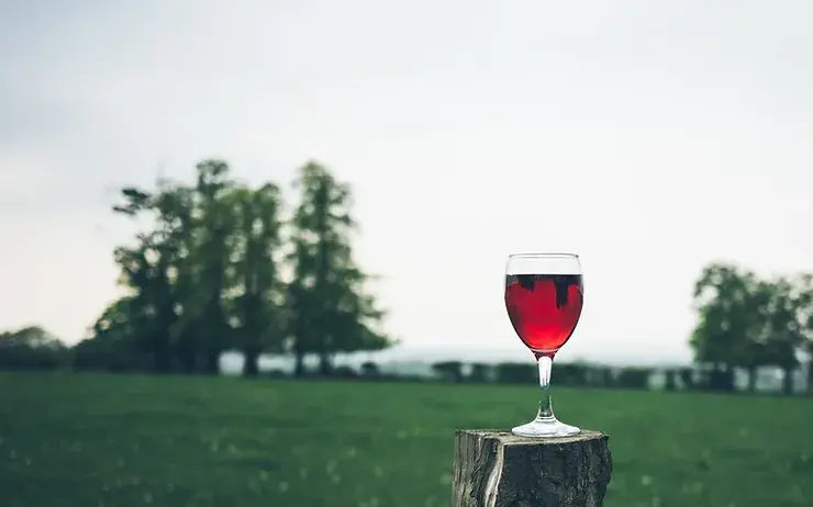 Celebrating Indigenous Heritage - 10 Indigenous-Owned Alcohol Brands to Support