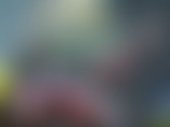 Mech Minis at Sunset — Herne Hill, Swan Valley