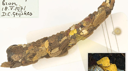 caddisfly_Auke_Florian.jpg