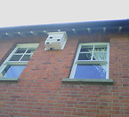 Vertical triple_edited_edited.jpg