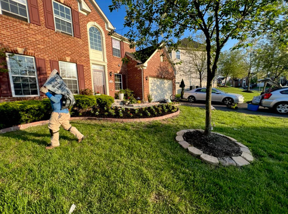 Landscaped front yard