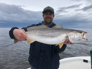 Spring 2019 Fishing Report: Pawleys Island, Myrtle Beach and Georgetown South Carolina