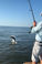 Tarpon Fishing Myrtle Beach to Charleston, SC