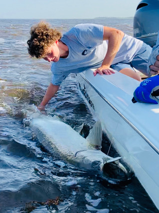 Tarpon Guide and Charter Pawleys Island, Georgetown, and Murrells Inlet, SC