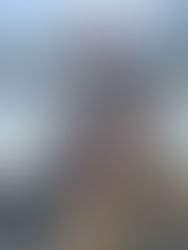 Surf Scoter Hunting South Carolina