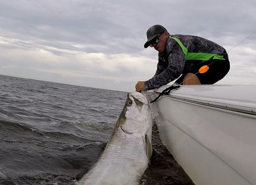 Great Tarpon Fishing Pawleys Island