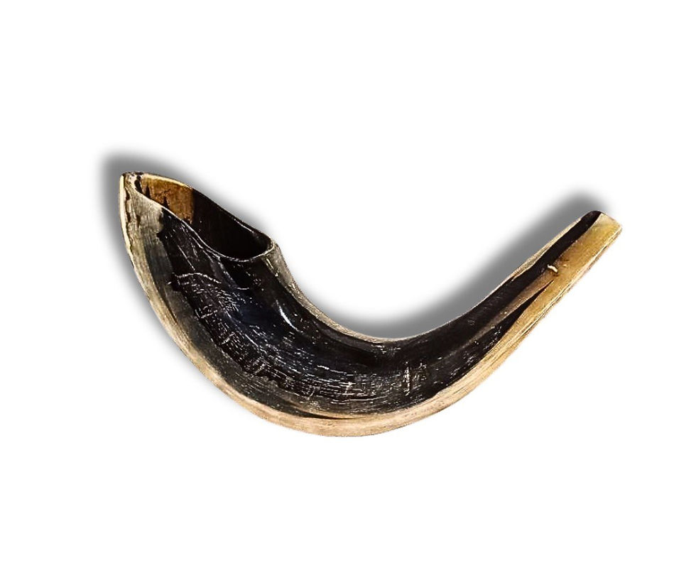 Thumbnail: Shofar aus Israel