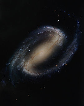 Background-06.jpg