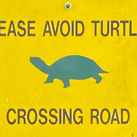 Blue Rider: An Introduction