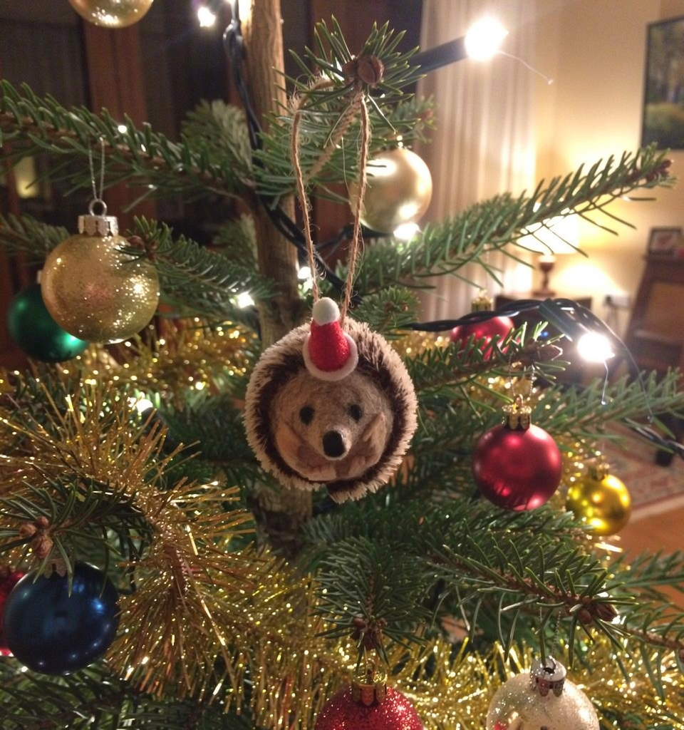 Christmas Hedgehog -Handmade felted critter