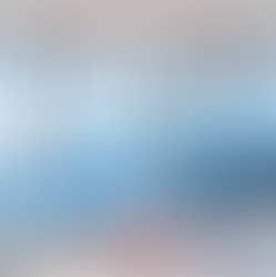 When is the Best Time to Put in New Windows?