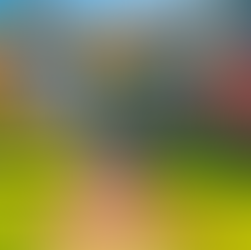 Remarkable Windows And Doors!