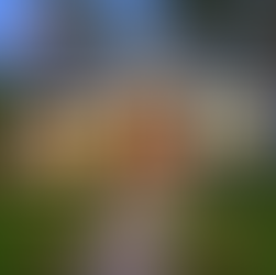 *Providing Crystal Clear Solutions Since 1953*