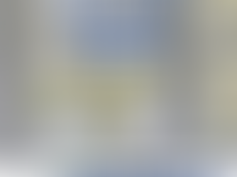 Professional & Reliable Window Cleaning