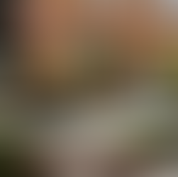 *Offering Sophisticated Doors!*