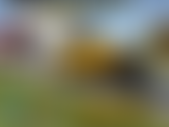 -> THE BEST ASPHALT PAVING AVAILABLE IN CENTRAL NEW YORK