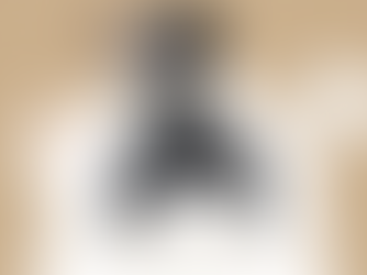 ~~~ Lightweight Strollers ~~~